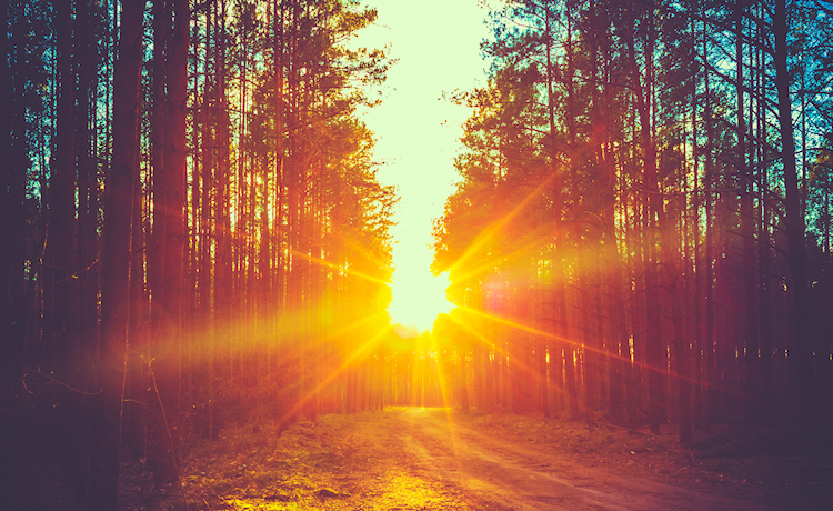 image sunshine