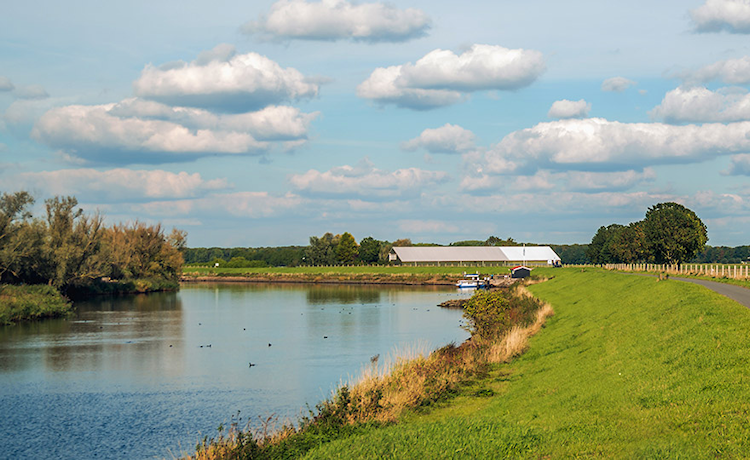 image river